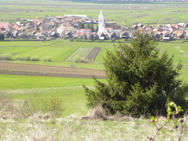 Valea Strâmbă